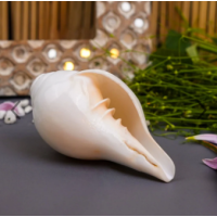 दिव्य शंख